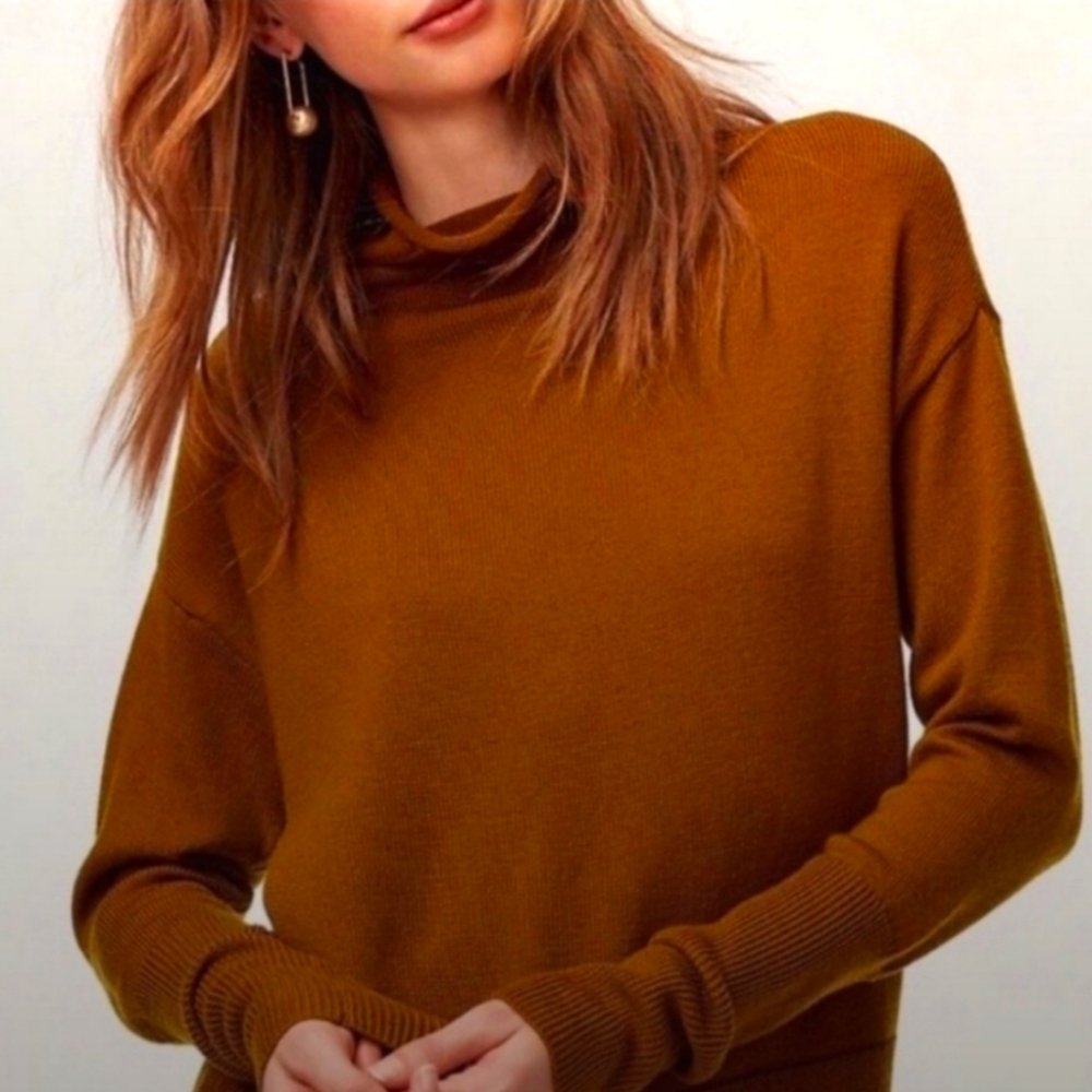 SOLD Wilfred 100% Merino Wool sweater "Cyperie" mock turtleneck xs Aritzia - Picture 1 of 8